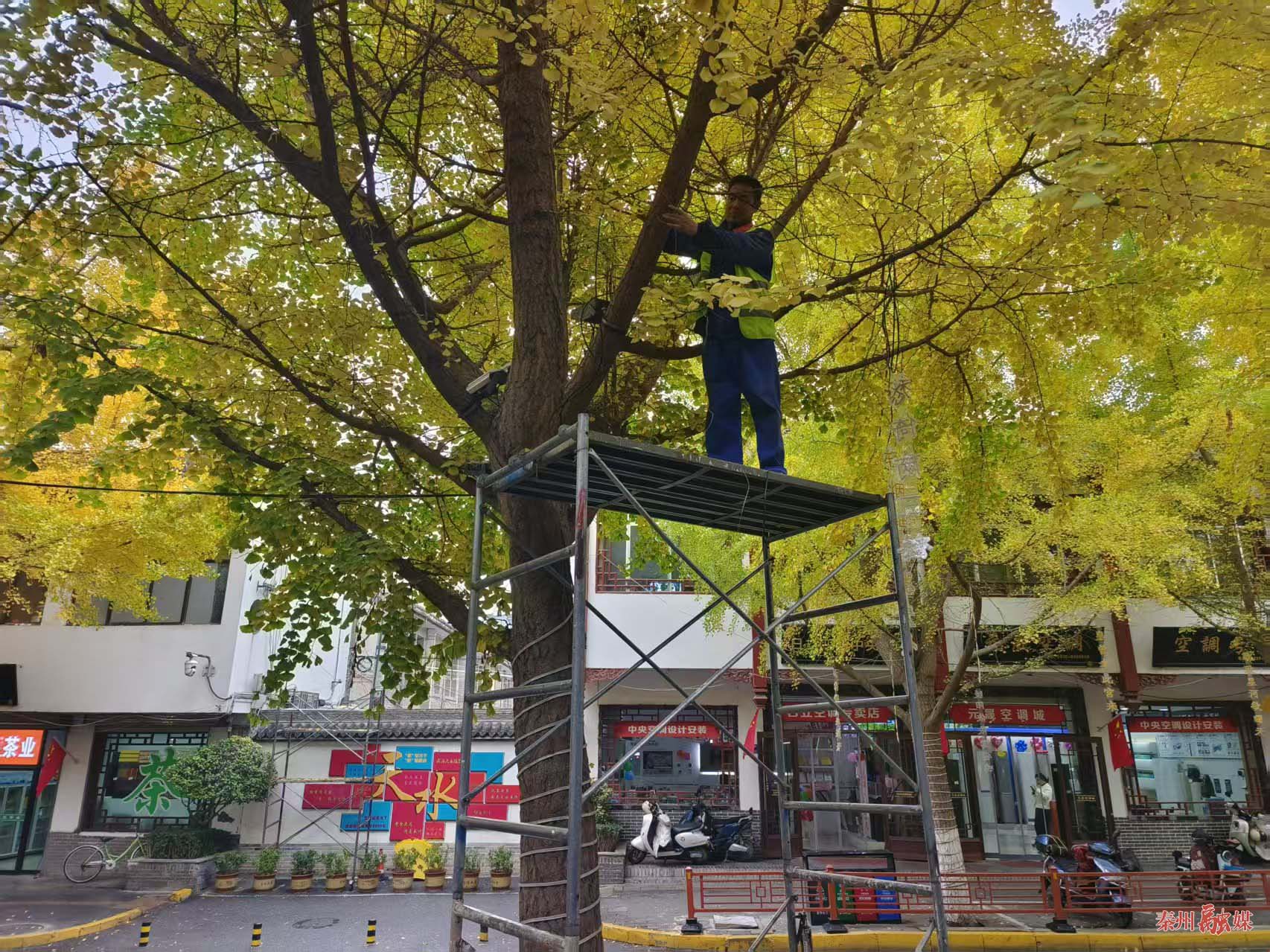 微信图片_20251106182918_65_133