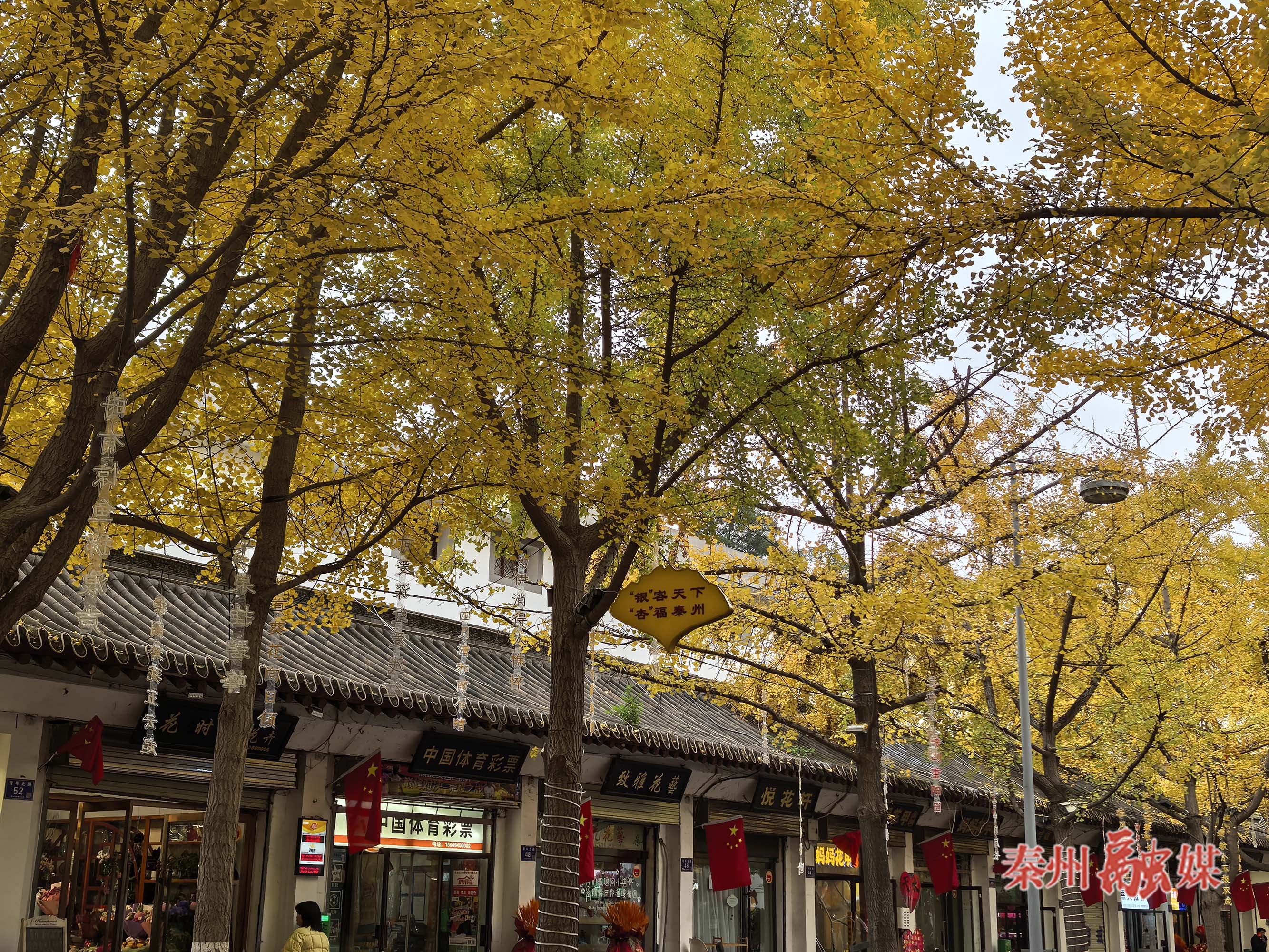 微信图片_20251106175602_133_231