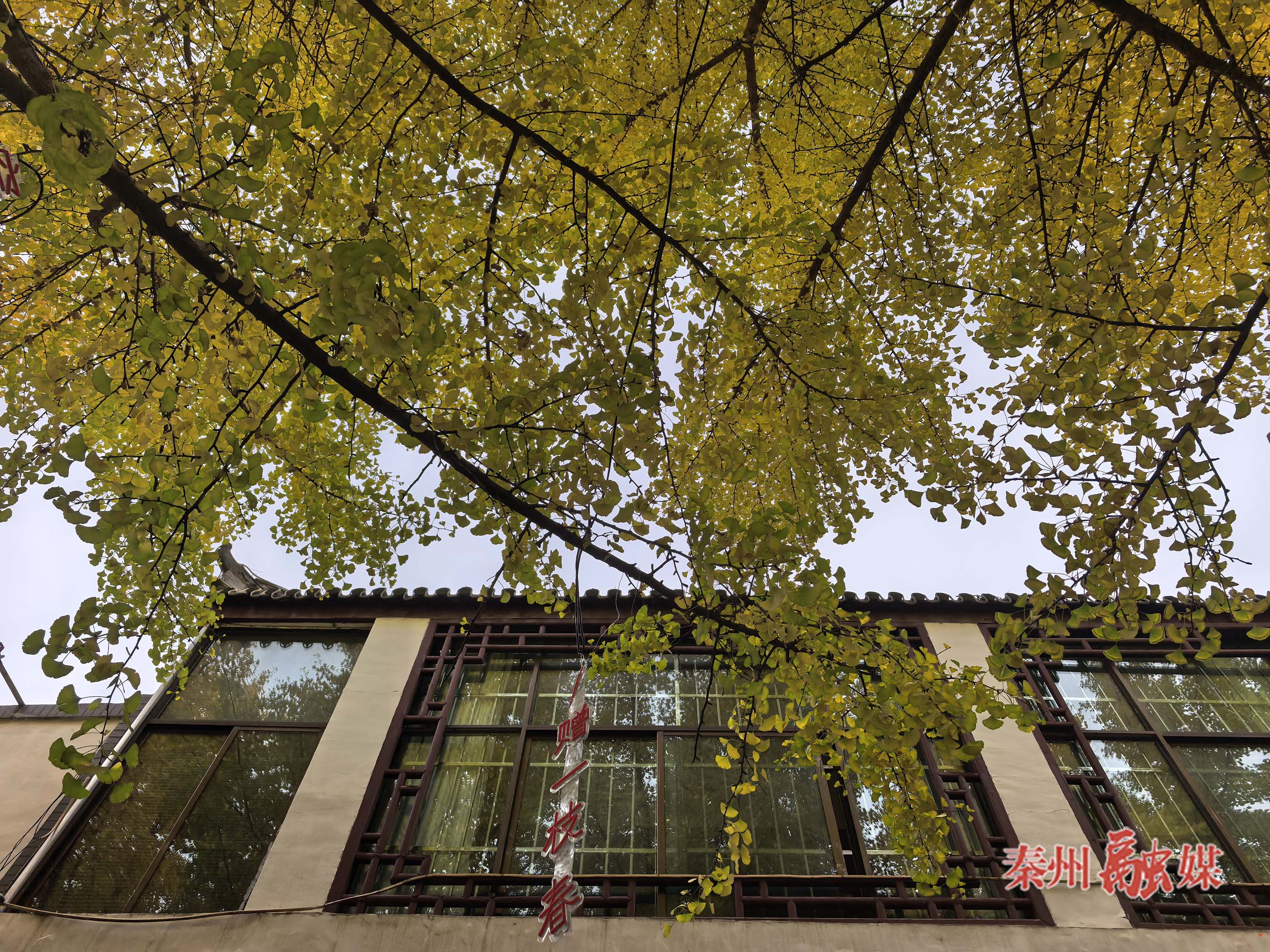 微信图片_20251106175625_135_231