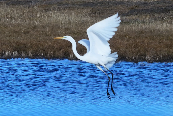 1762508303876026667.png 1edabaed4a8d4ace902e456be3cb9d9e_s.png