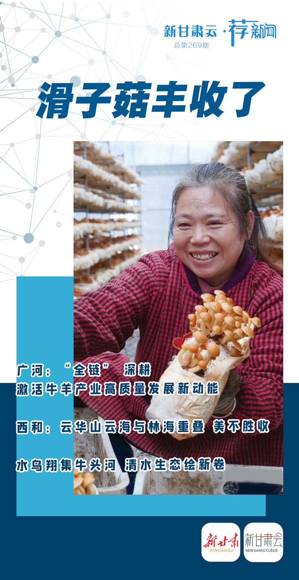 1762512762415002168.jpg 微信图片_20251107182732_副本_副本.jpg