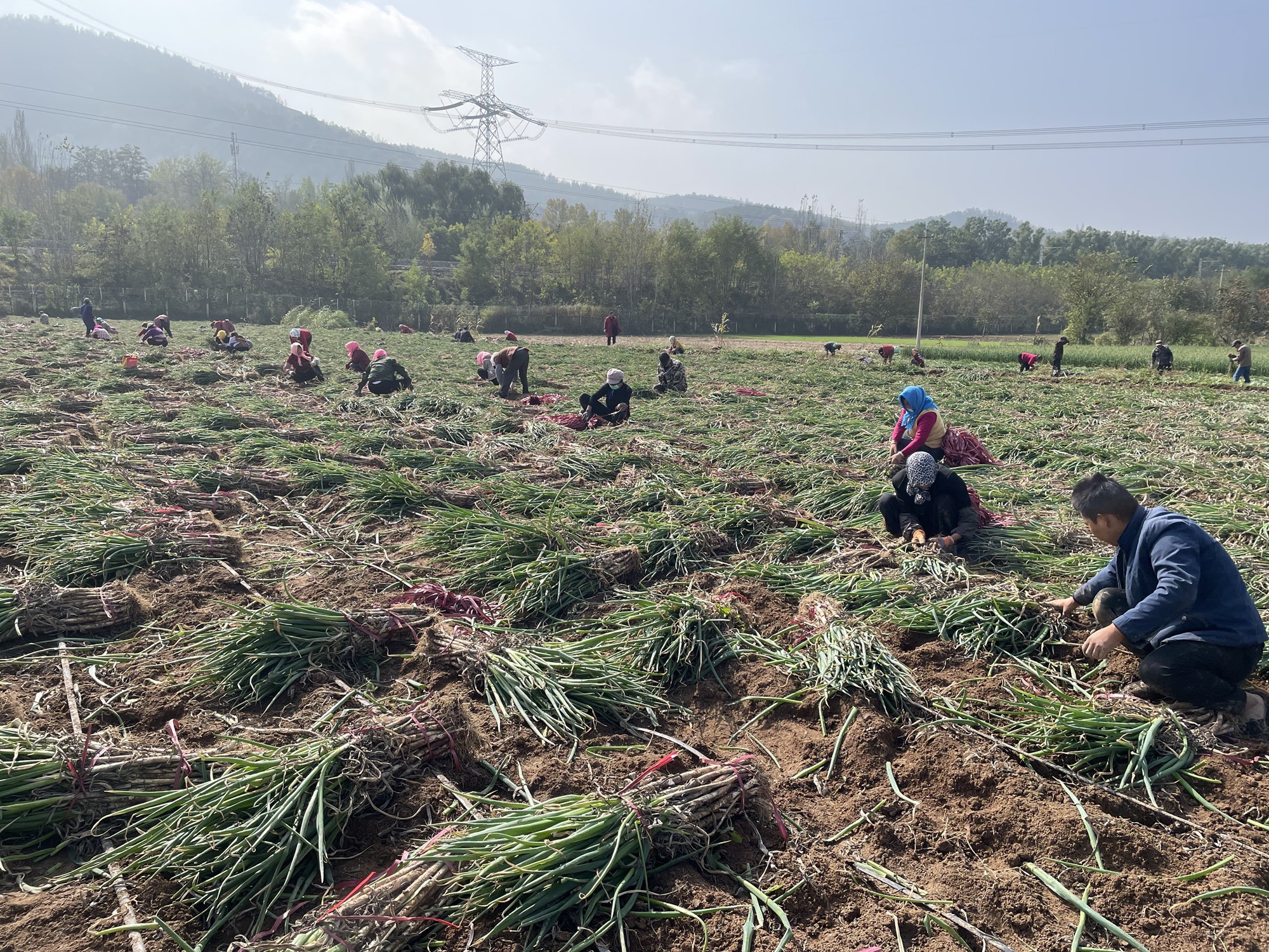 1762763200243097302.jpg 1762735146393042027_副本.jpg