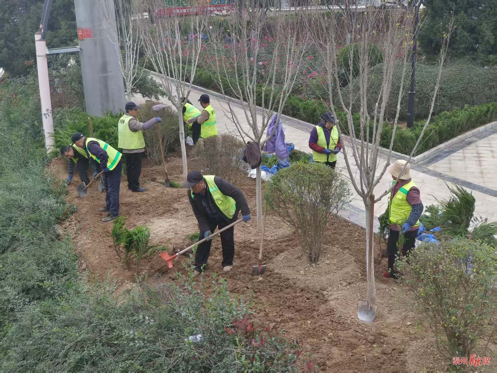 1762767043164009863.jpg 1762412727746025679.jpg