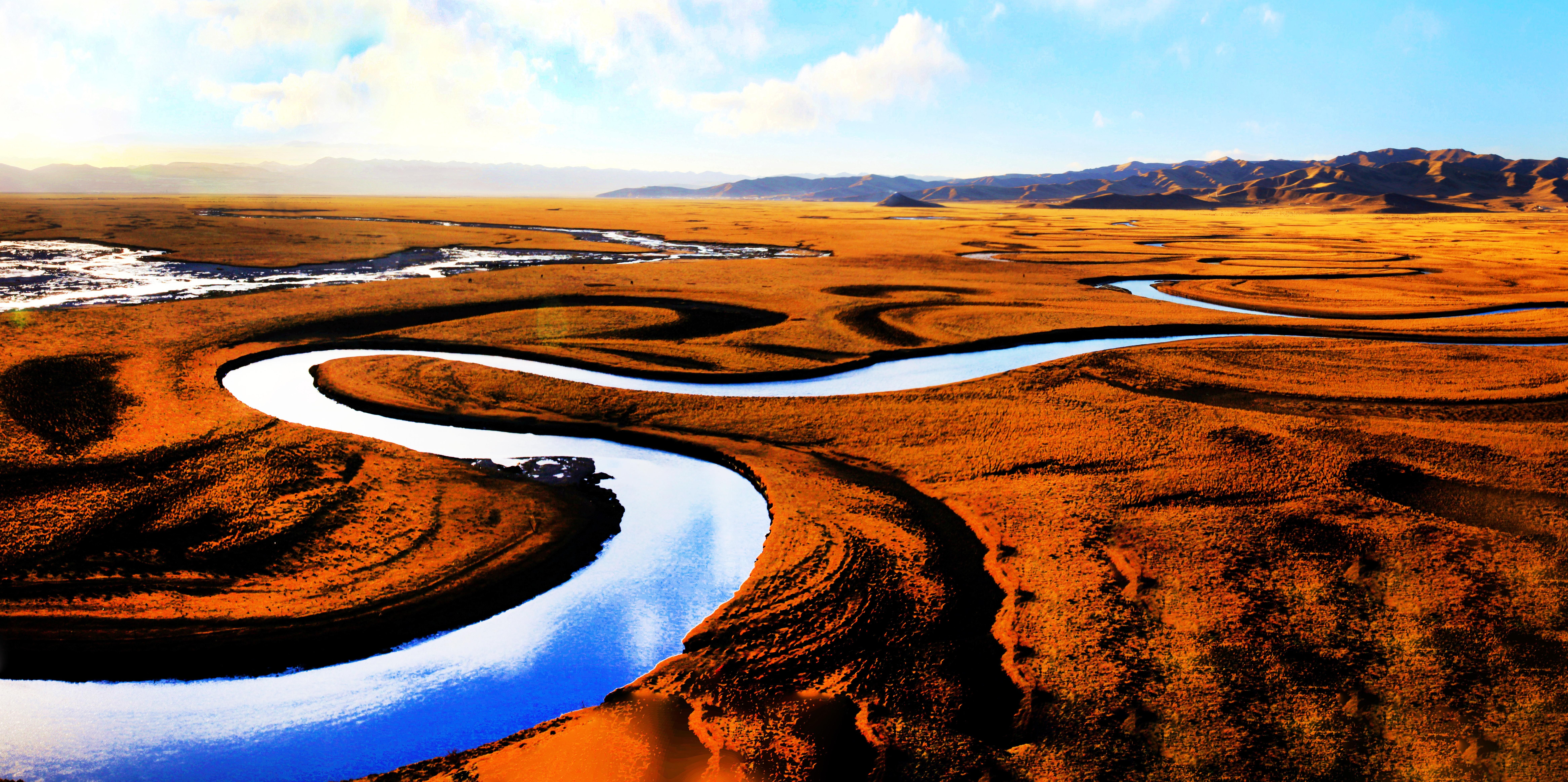 《阿万仓湿地》王新国