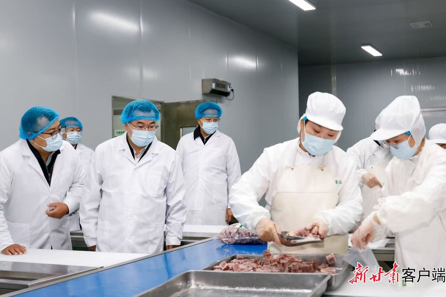 胡昌升在临洮县调研