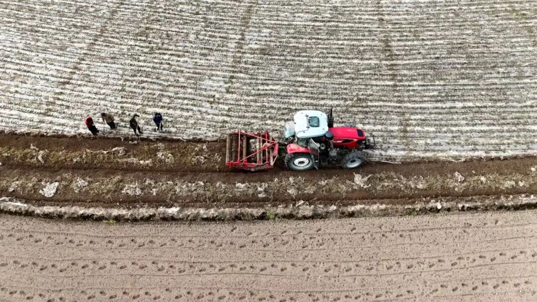 1763112516775049910.jpeg 1763043087729060162.jpeg