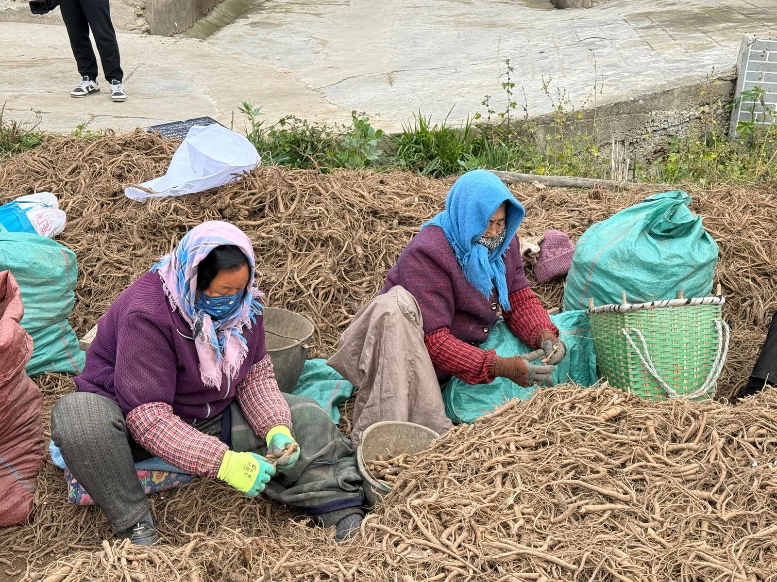 1763112841433026393.jpg 1763046186938032822 (1).jpg