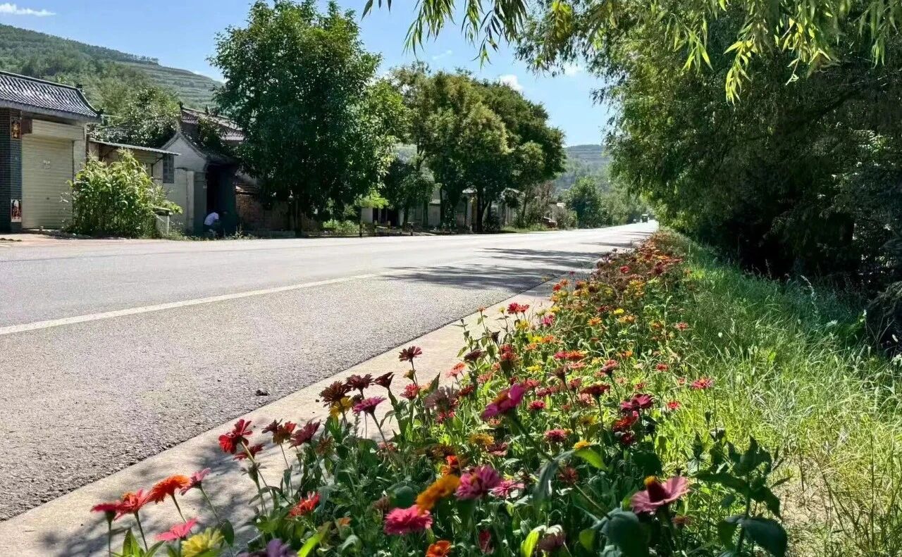 1763113249665067801.jpg 1762847323162029274.jpg