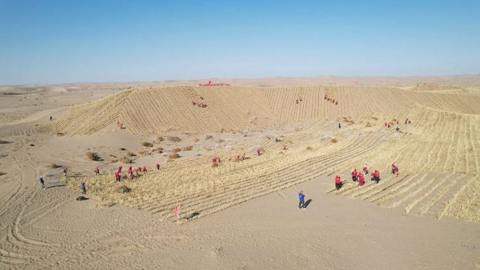 1763113905910085307.jpeg e5ff96b0af2748348cc9991f2b604e74_s.jpeg