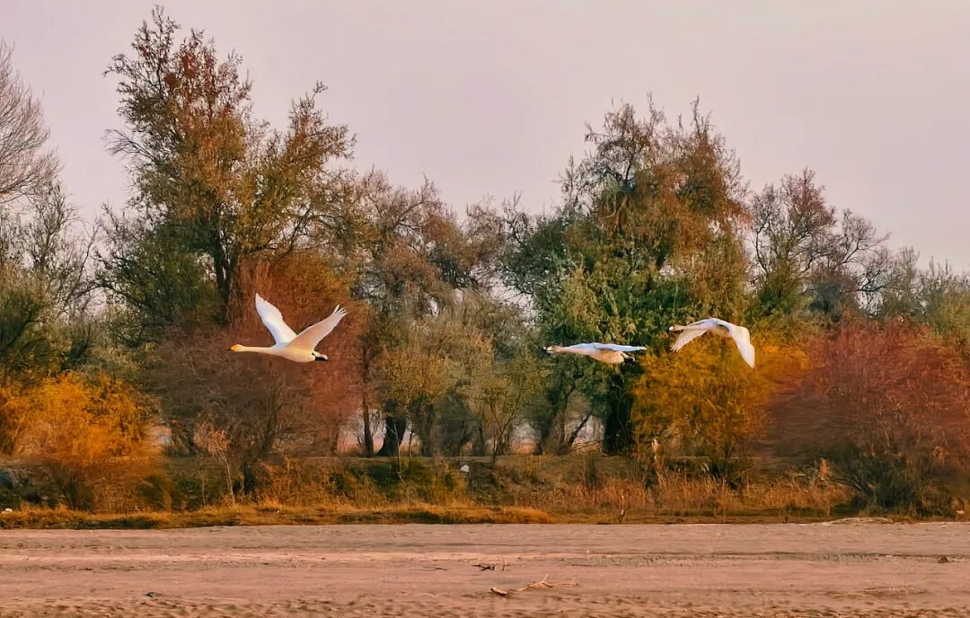 1763114082912058971.jpeg edcd8988d2594689b2970ec45aad6ef5.jpeg