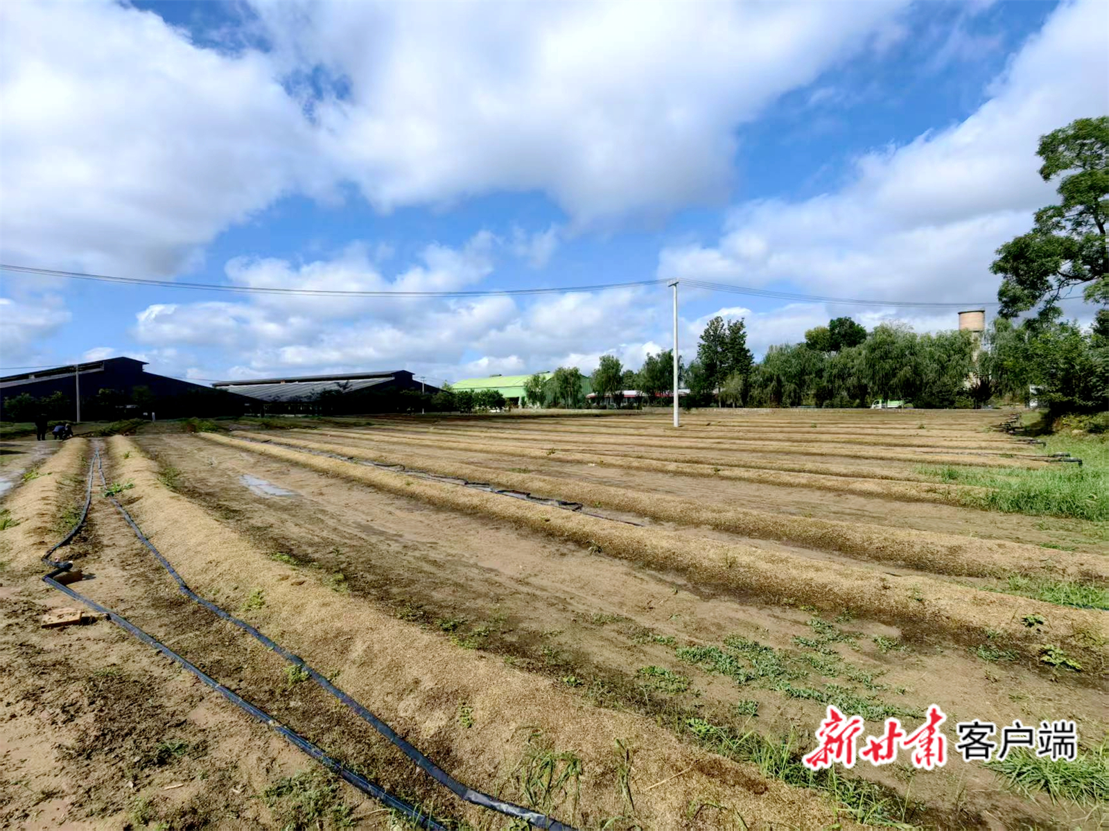 FZ007244928989_A5434118