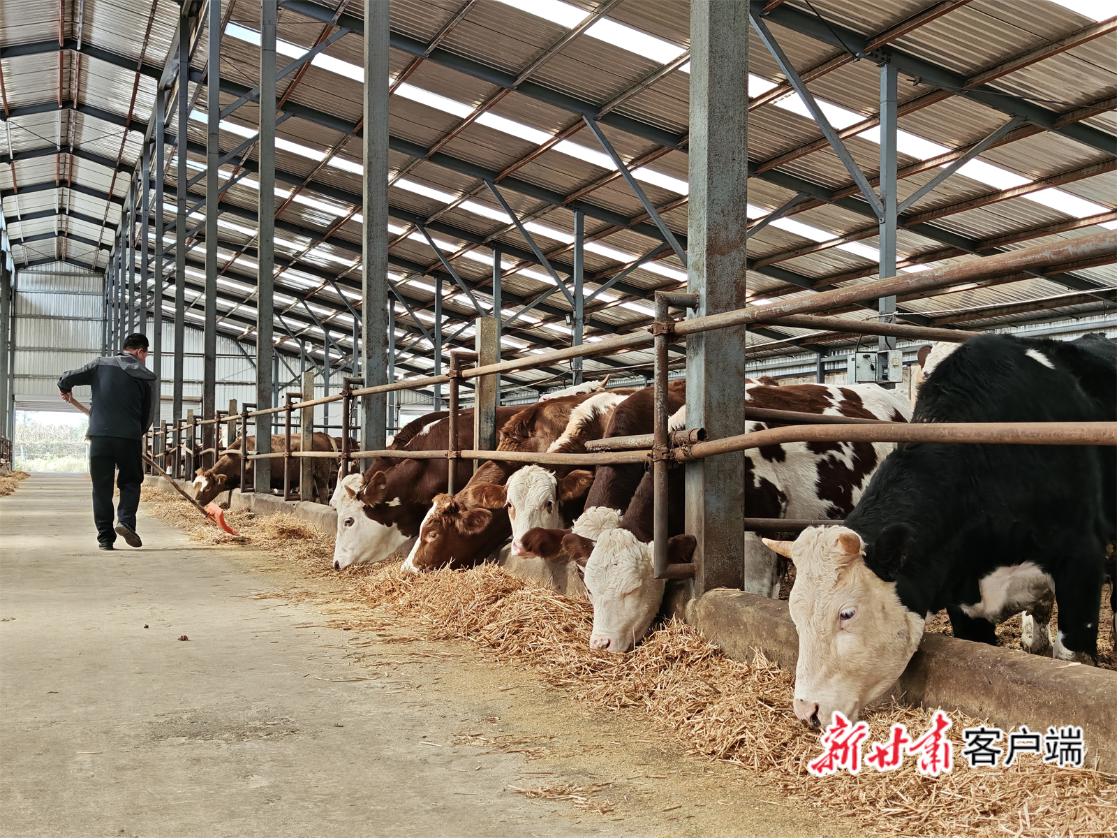 FZ007244928989_A5434125