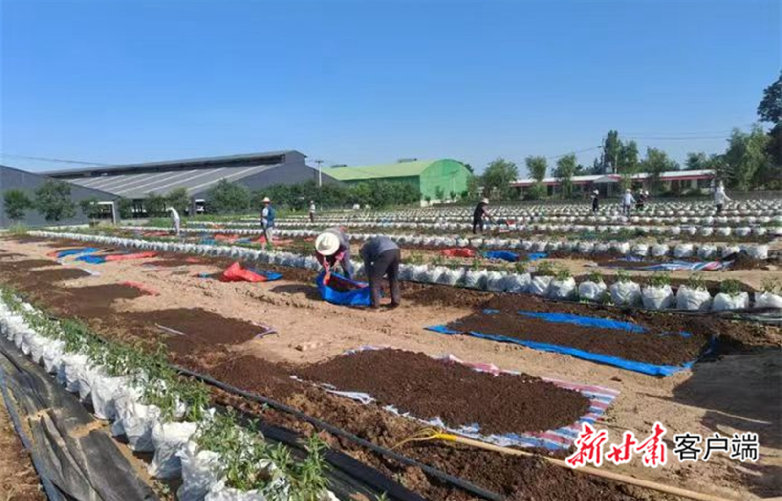 FZ007244928989_A5434180