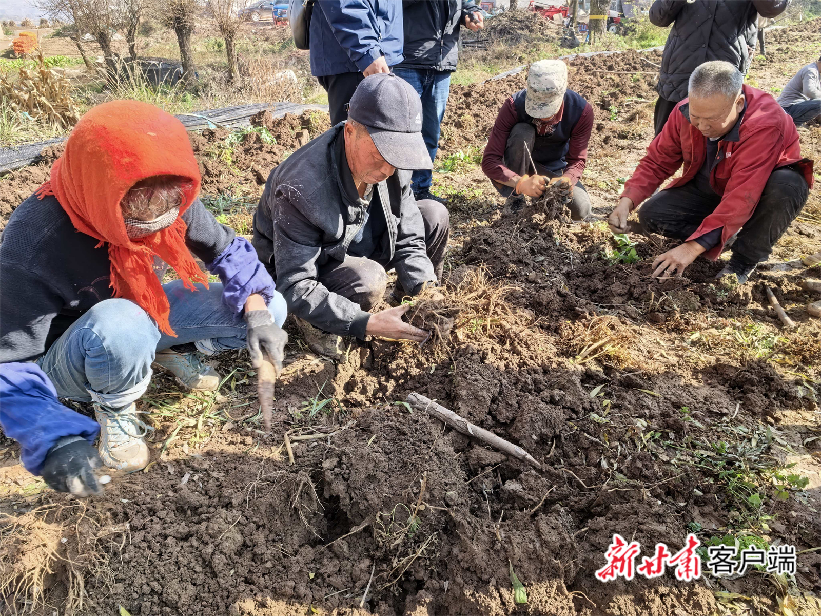 FZ007244964586_A5443748