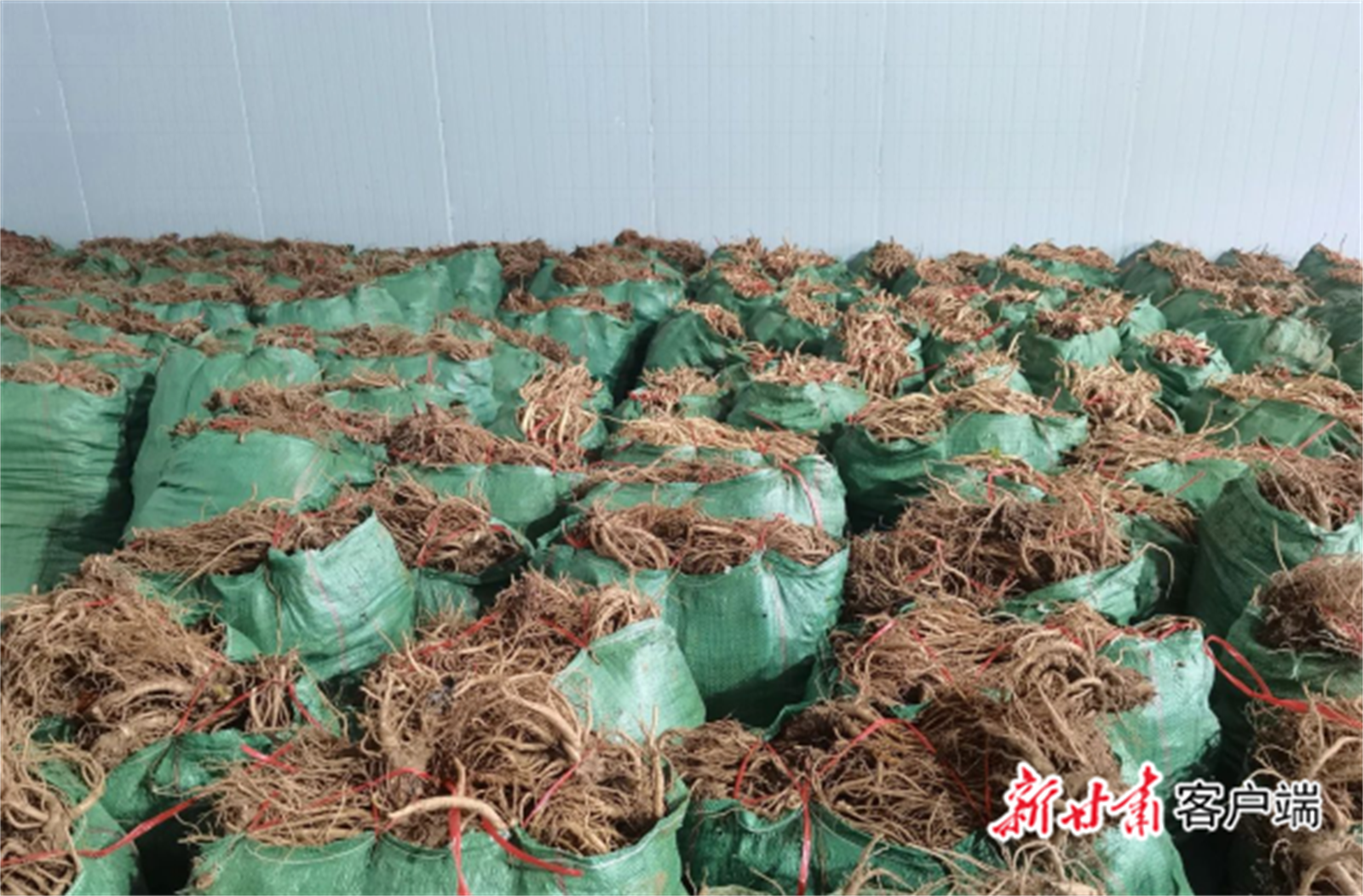 FZ007244970048_A5444607