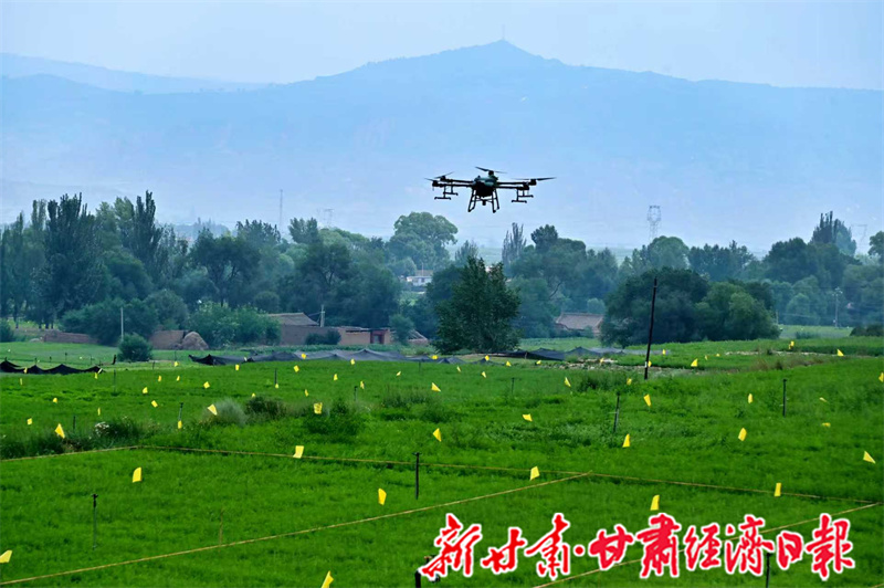 yes (一版可转发) 千年药乡“链”(44968750)-20251118102225