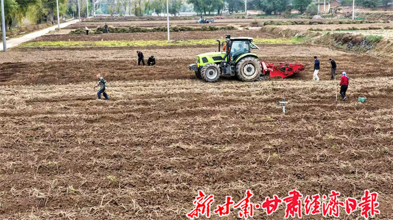 yes (一版可转发) 千年药乡“链”(44968752)-20251118102227