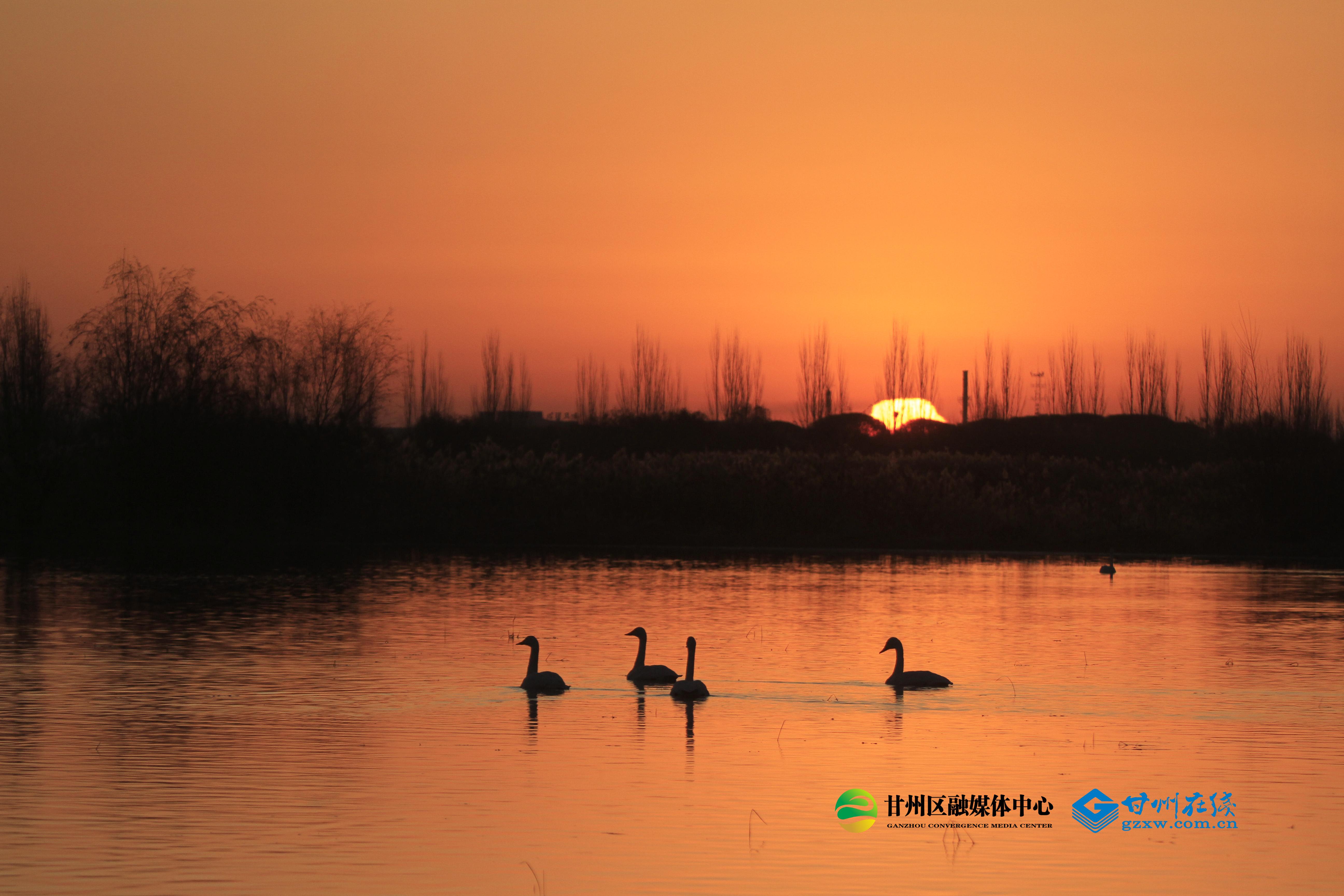 1763457162522039929.jpg ef5fb7526f7645df818937ce53ac40cd.jpg