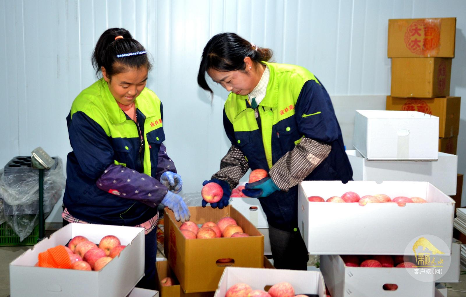 1763459304524093463.jpg 1763369111267080877.jpg