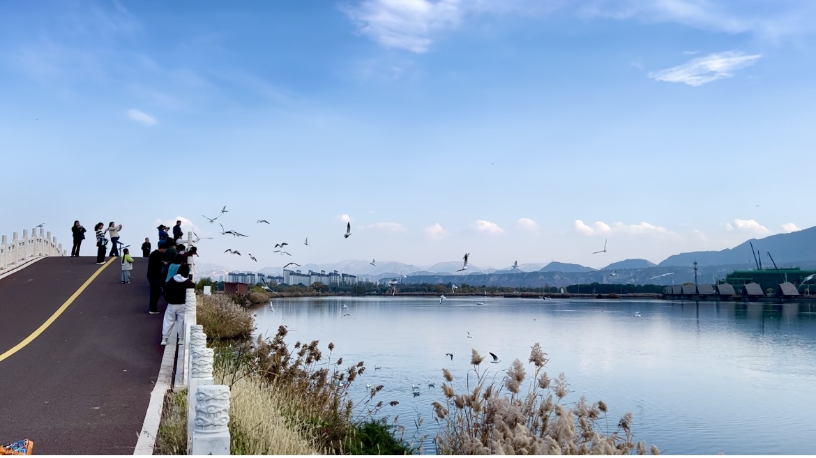 1763542090894056232.jpg 1763460413675080970.jpg