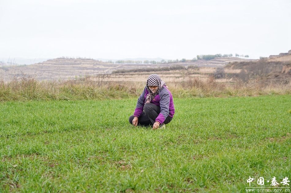 1763544640793079302.jpg 1763539392550042536.jpg