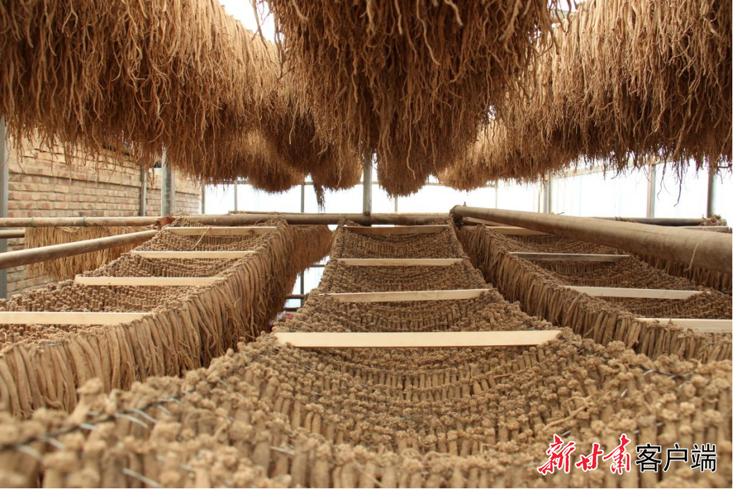 FZ007245194223_A5463118