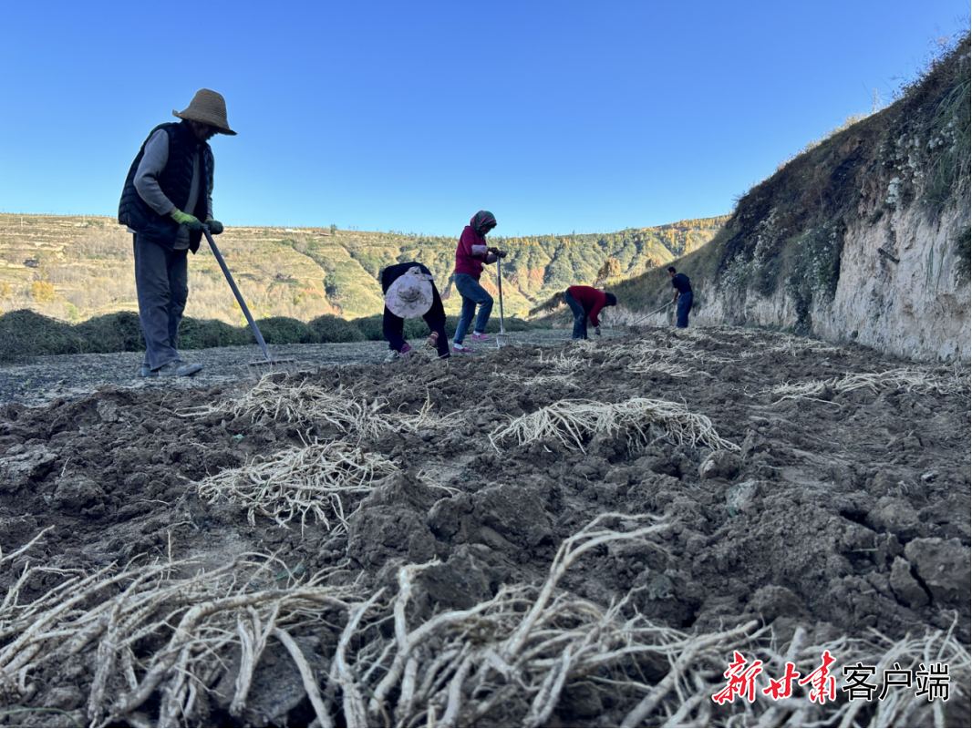 FZ007245194223_A5463119