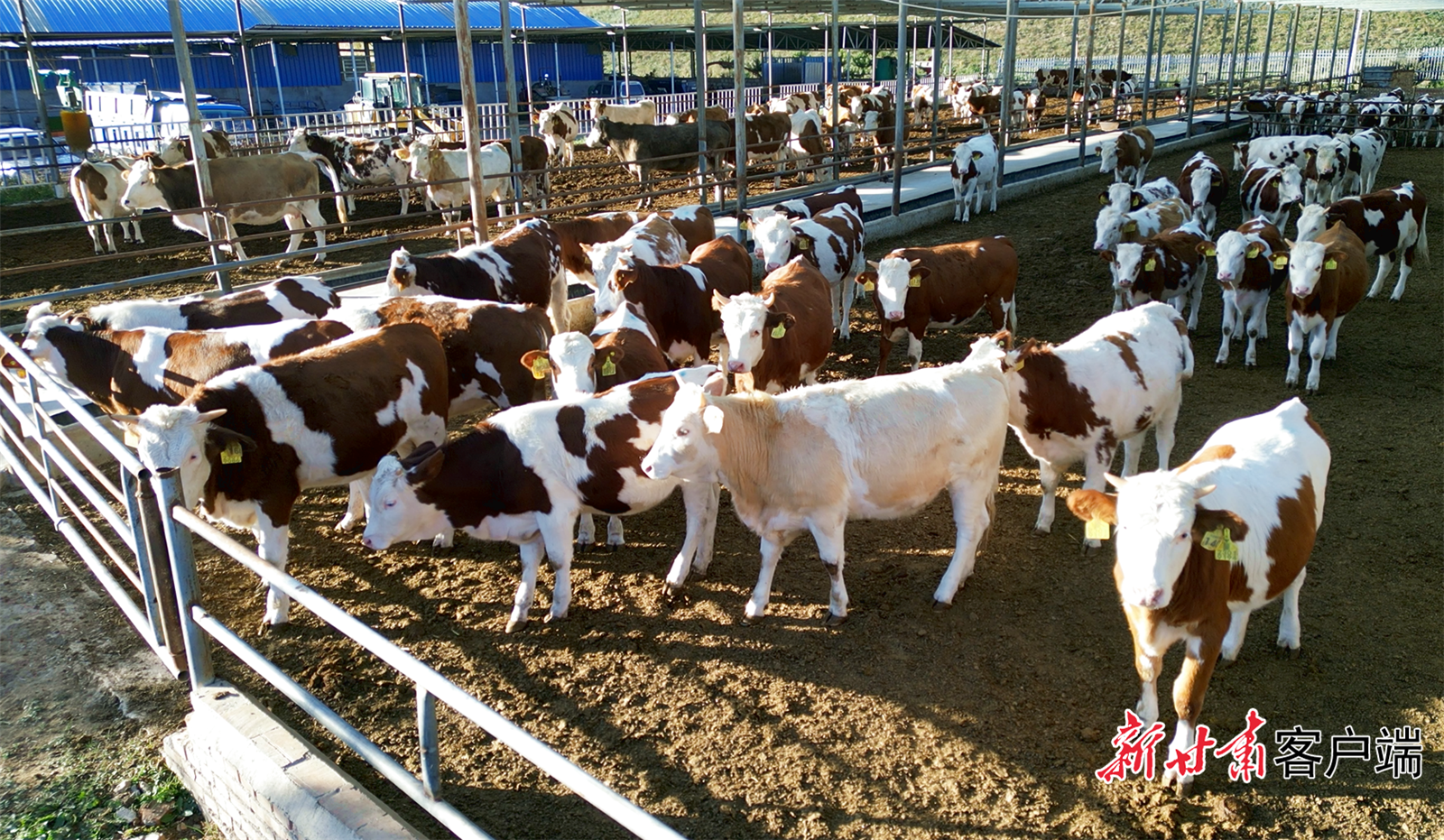 FZ007245281526_A5466576