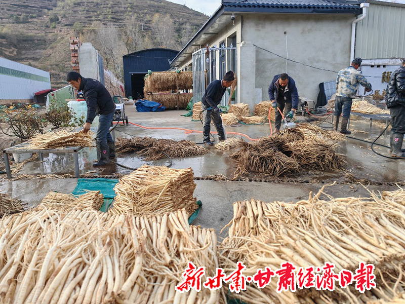 yes(县域)县域经济的“顶梁柱”-群众(45334043)-20251205131857