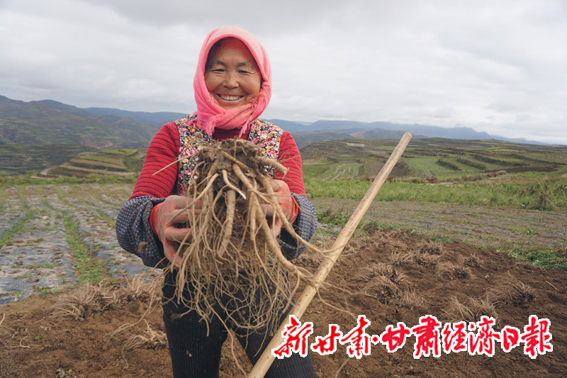 yes(县域)县域经济的“顶梁柱”-群众(45334049)-20251205131842