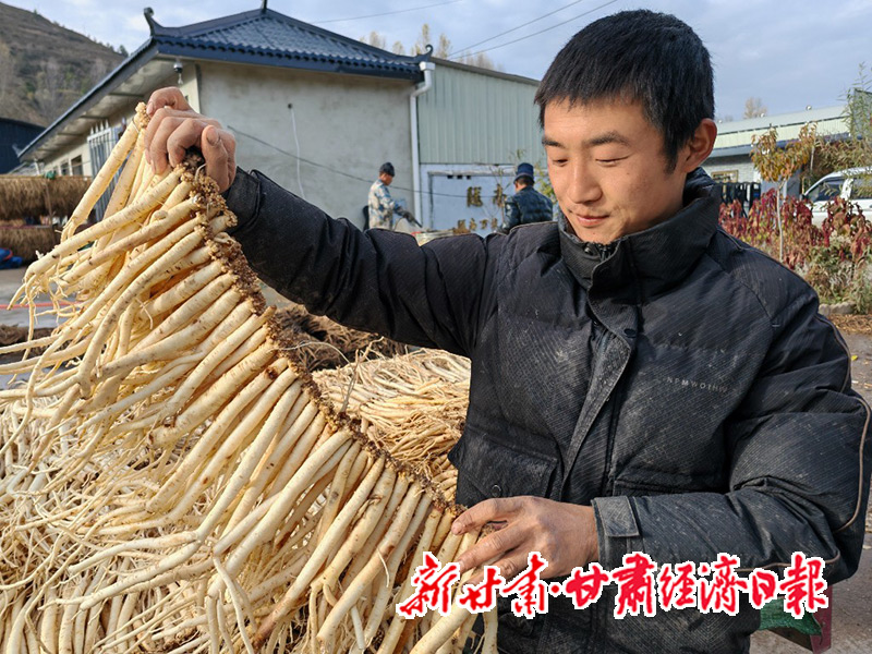 yes(县域)县域经济的“顶梁柱”-群众(45334051)-20251205131836