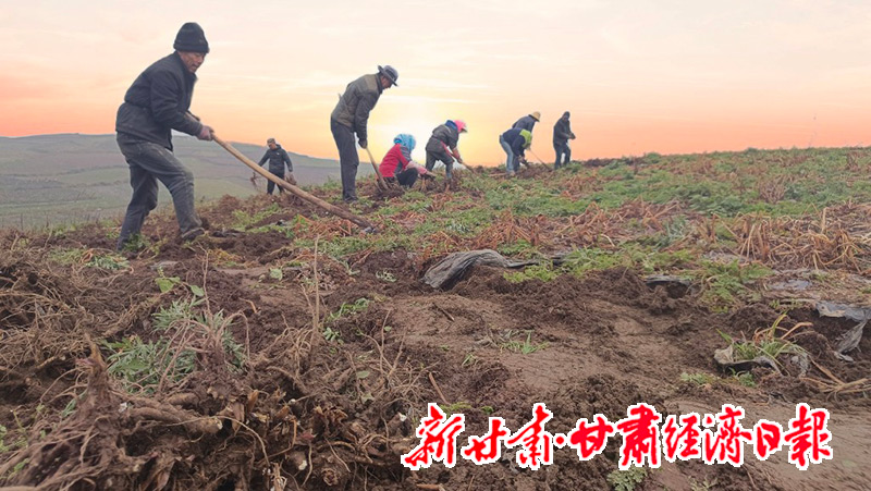 yes(县域)县域经济的“顶梁柱”-群众(45334047)-20251205131847