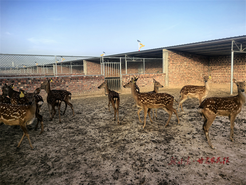 微信图片_20251205102713_23_1722