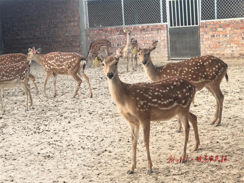 微信图片_20251205102749_42_1722