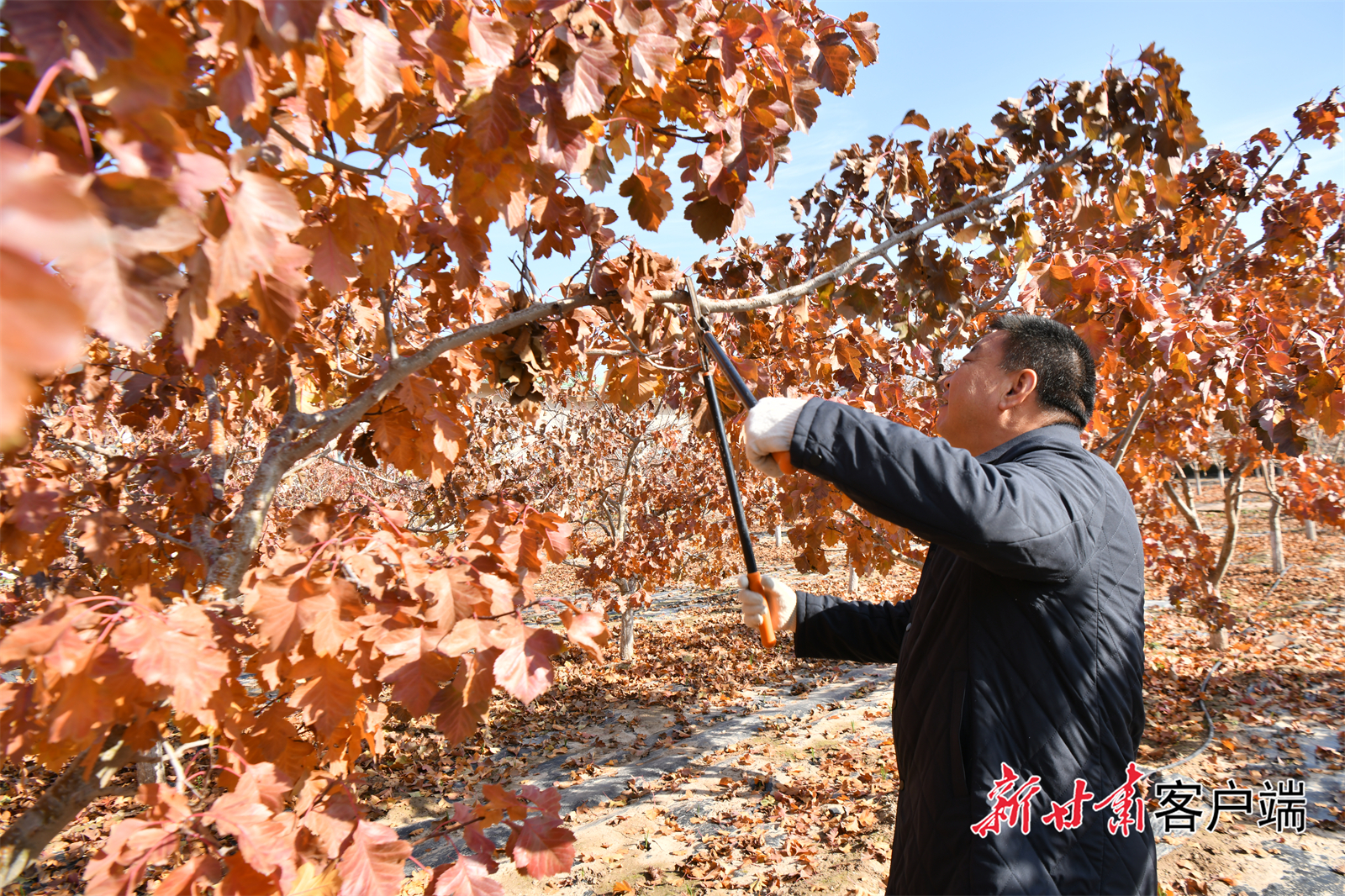 FZ100444951518_A5437241