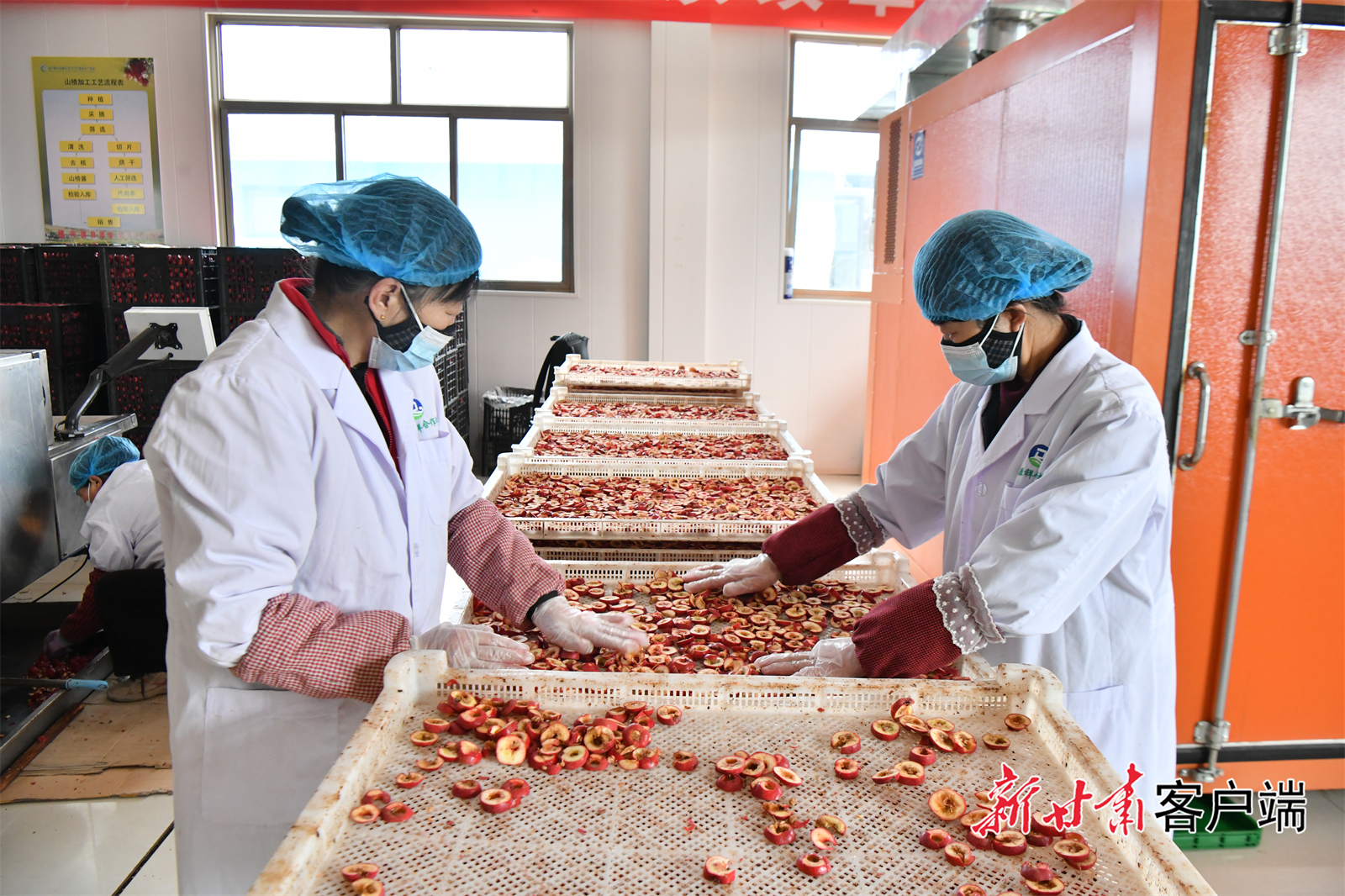 FZ100444951518_A5437250