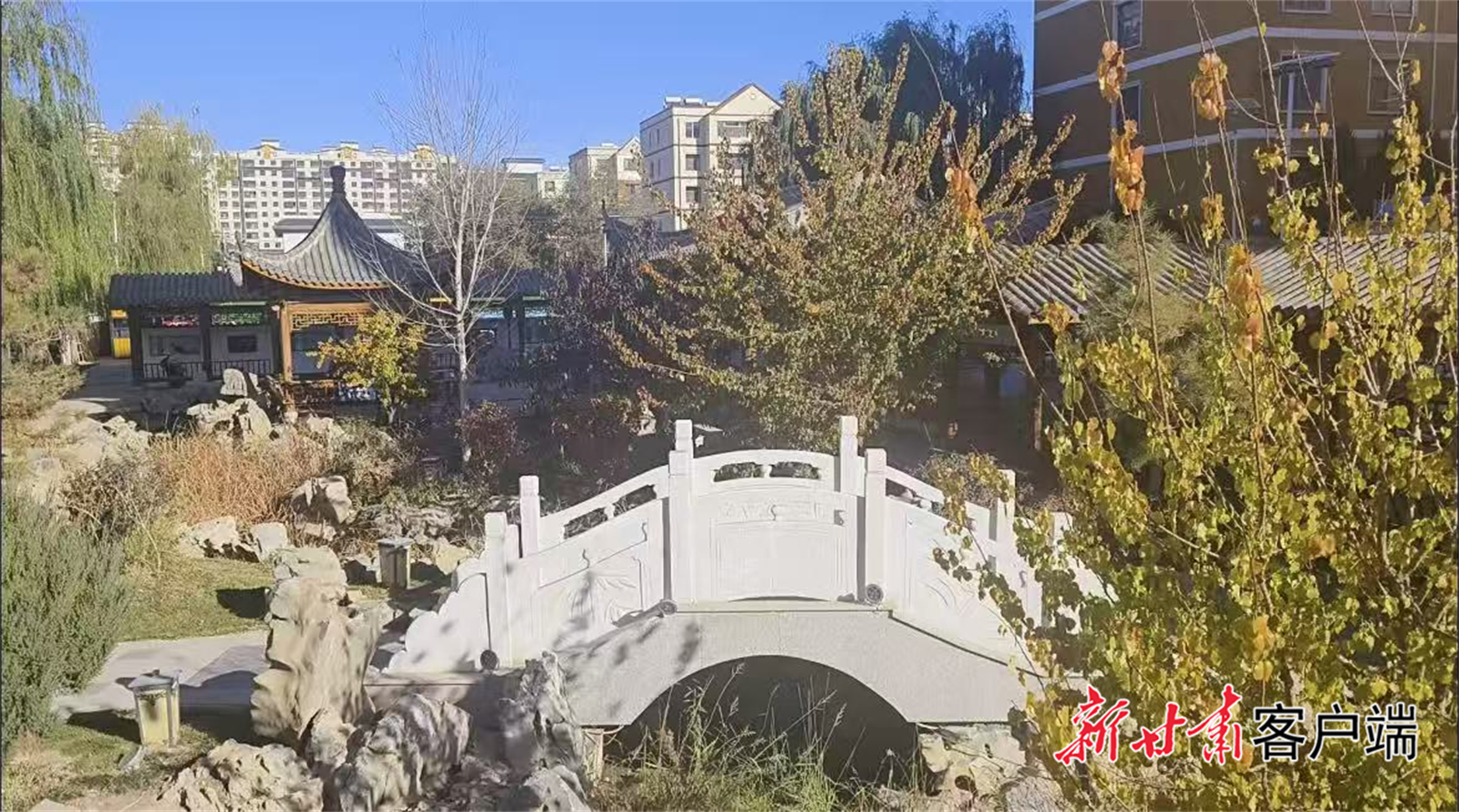 FZ100445445946_A5480097