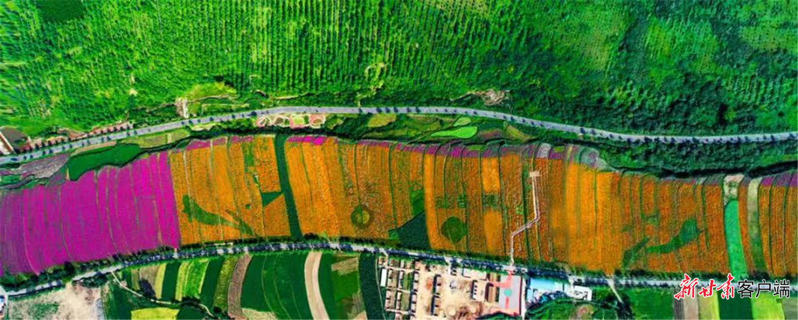 FZ007245704441_A5494861