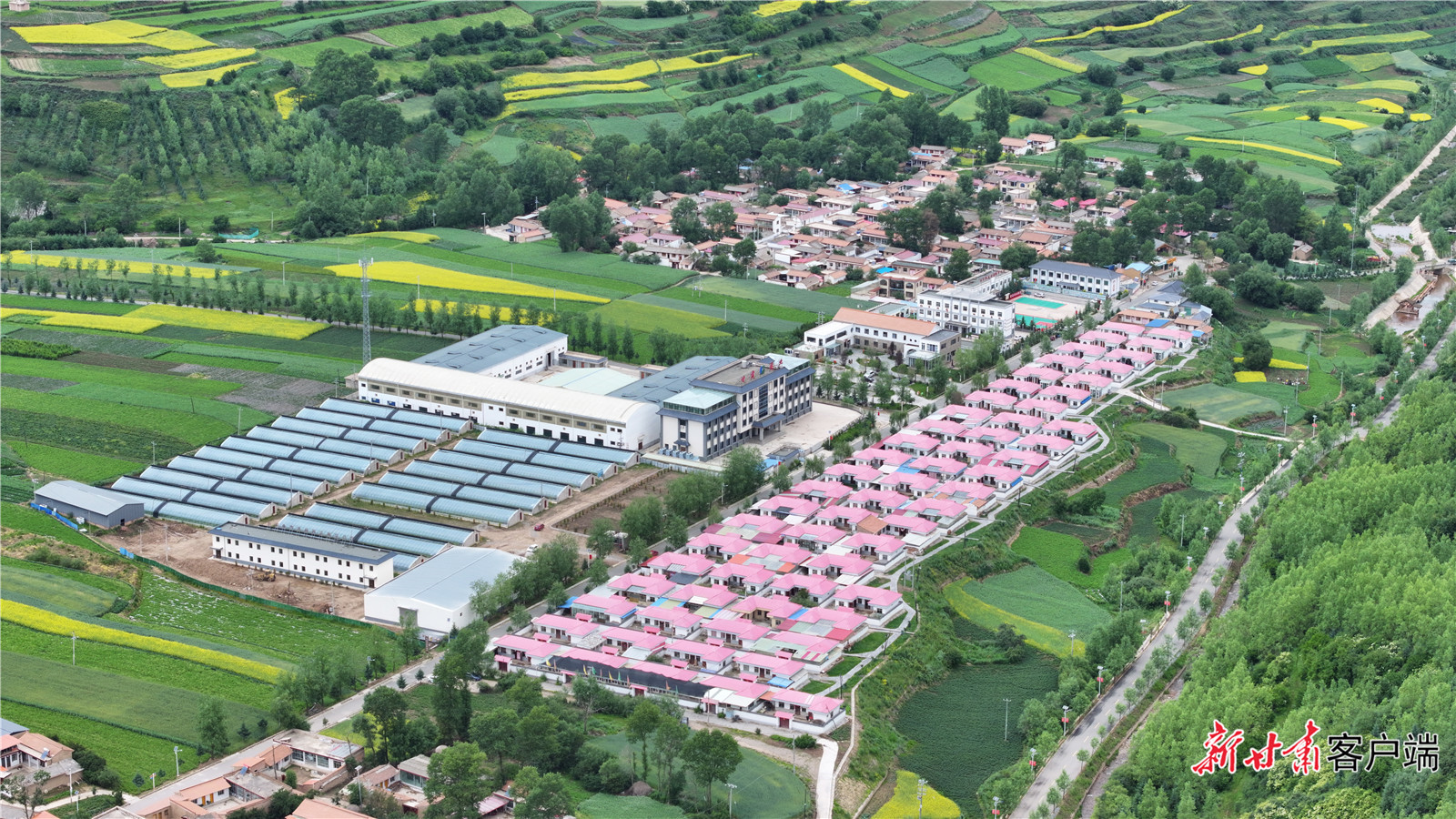 FZ007245704441_A5494853