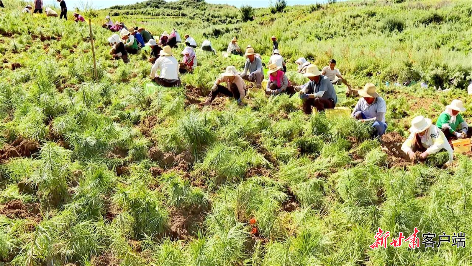 FZ007245704441_A5494858