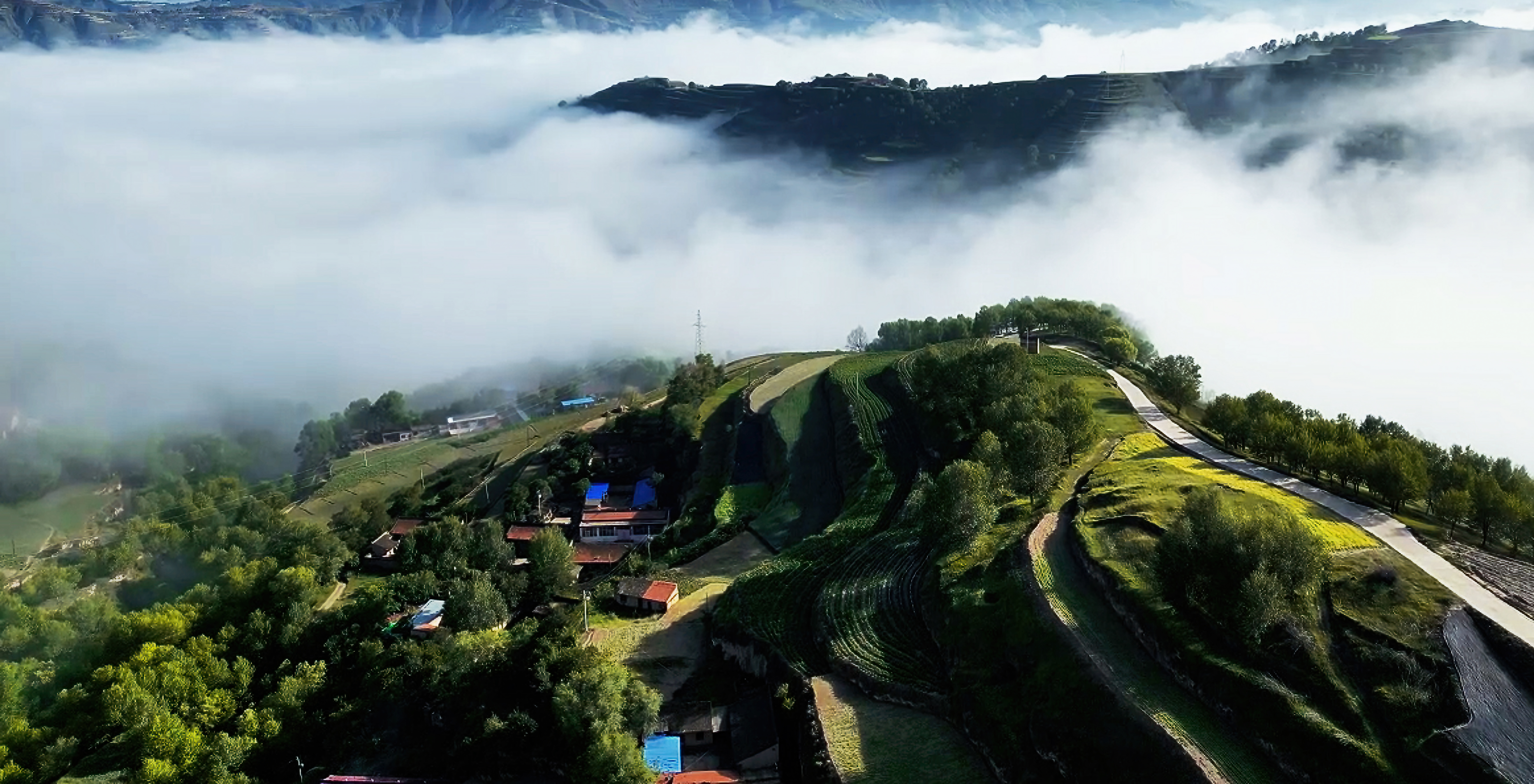 1766393555028067116.jpg 1e5301ad12b450a7bfbdd8d392b75e21.jpg