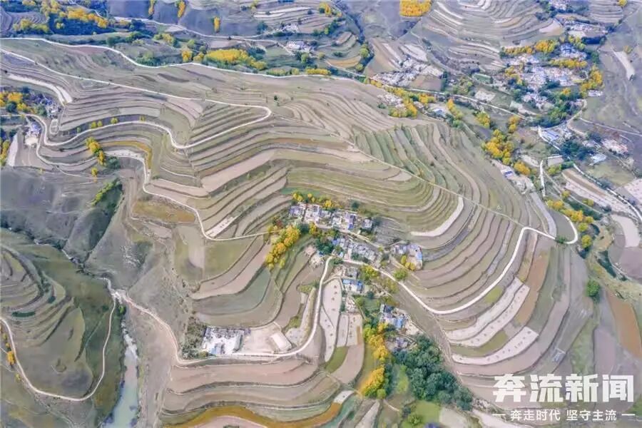 xd_img_20240823202905166 图片