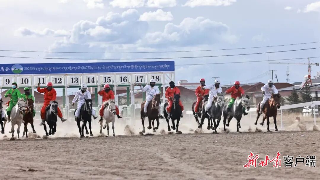 FZ007236026600_A4781269 图片