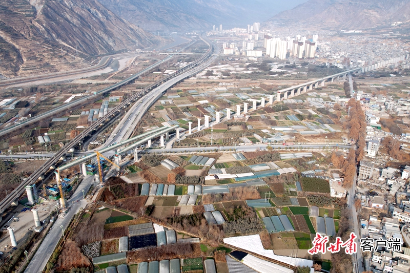 image_0 (13)
