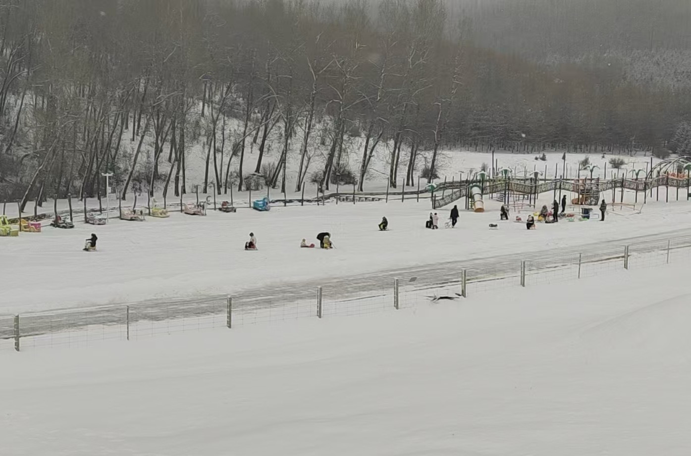 1767413897273096149.jpg 1767410700893077428.jpg