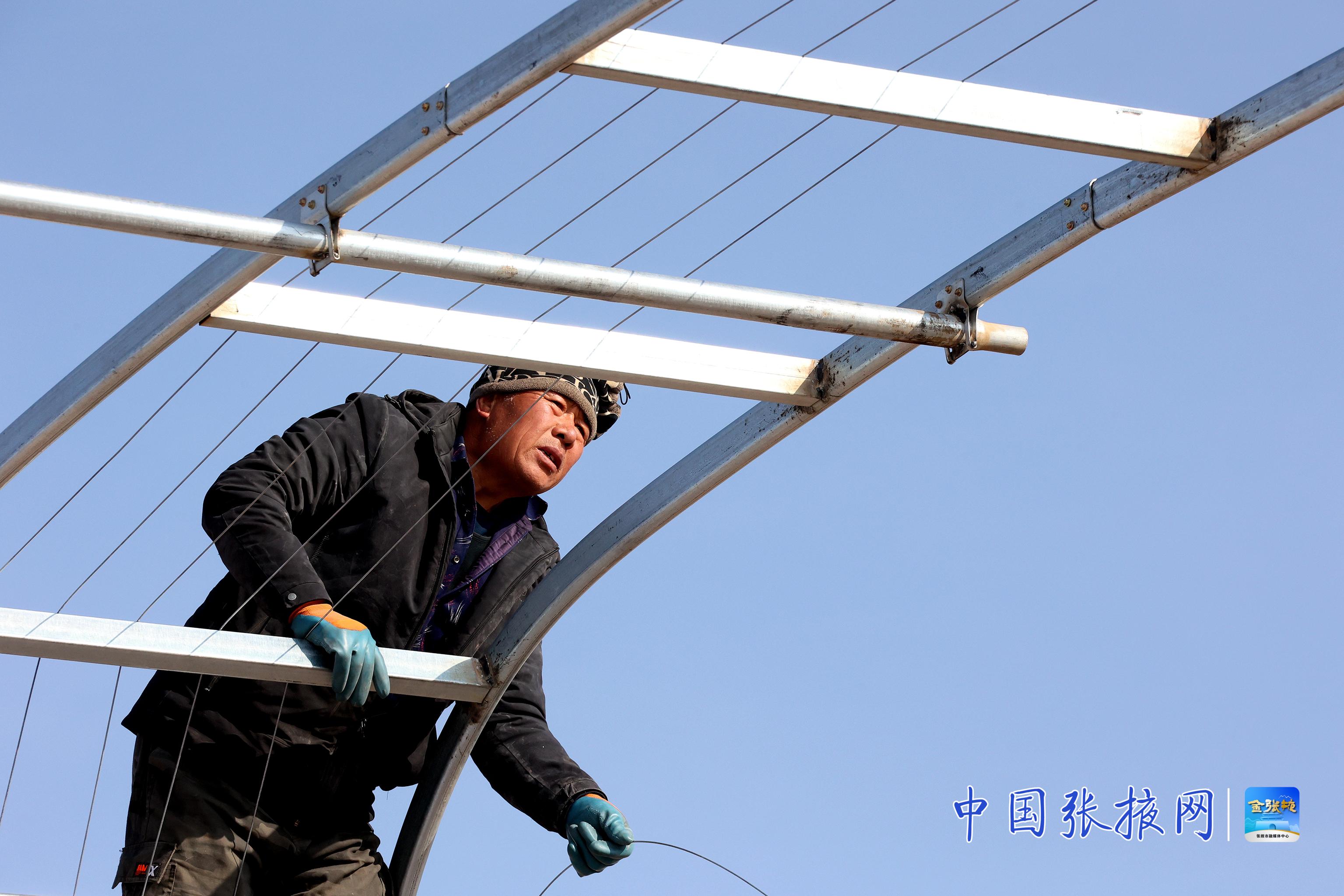 1767582103468063906.jpg 401ecf04129f447bad6ab35356c803c5.jpg