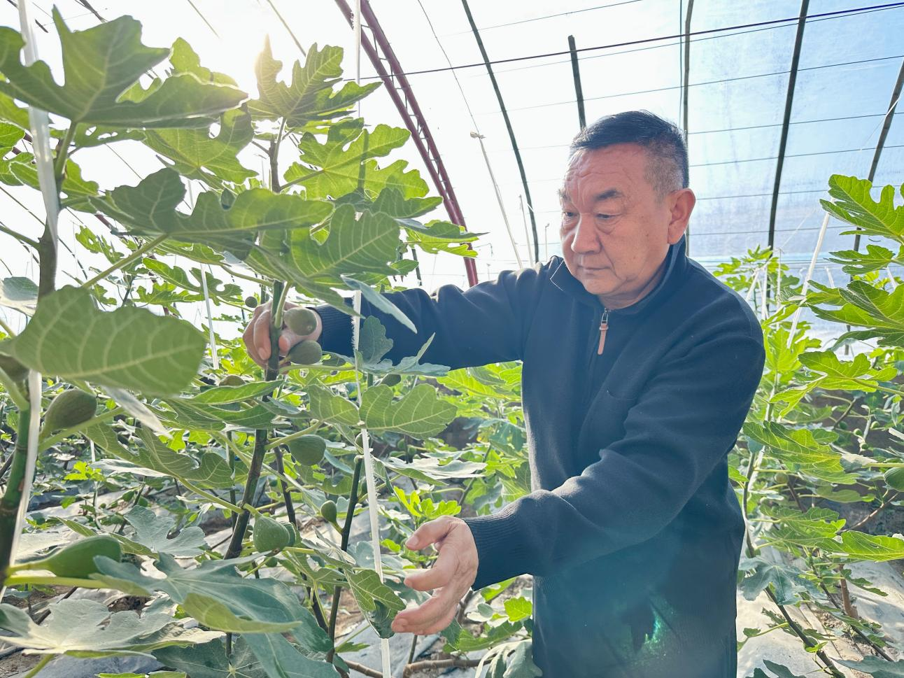 1767582648772001396.png c5ab26e5e9344ac7aa647dd37c2b260f.png