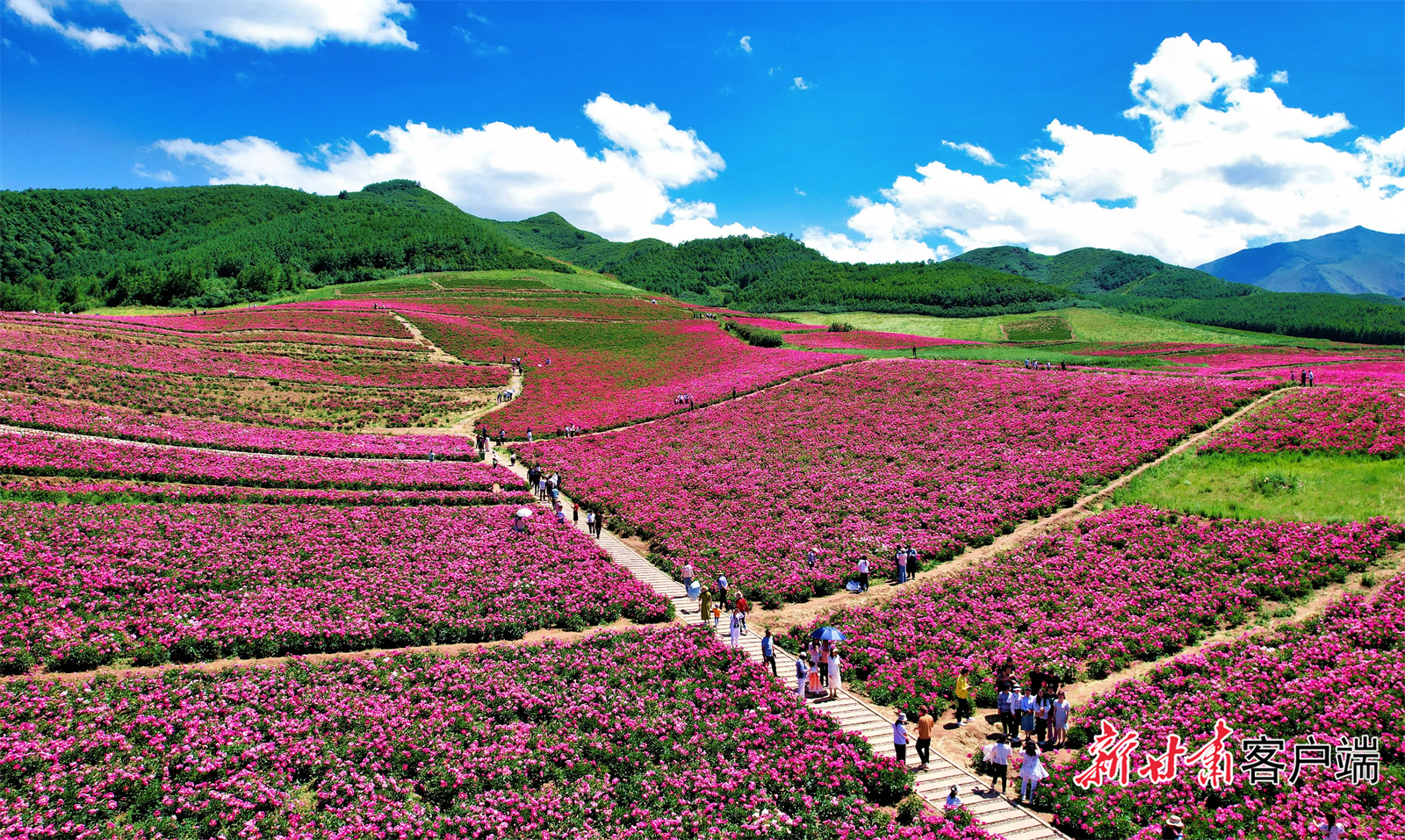 FZ007246232911_A5522546