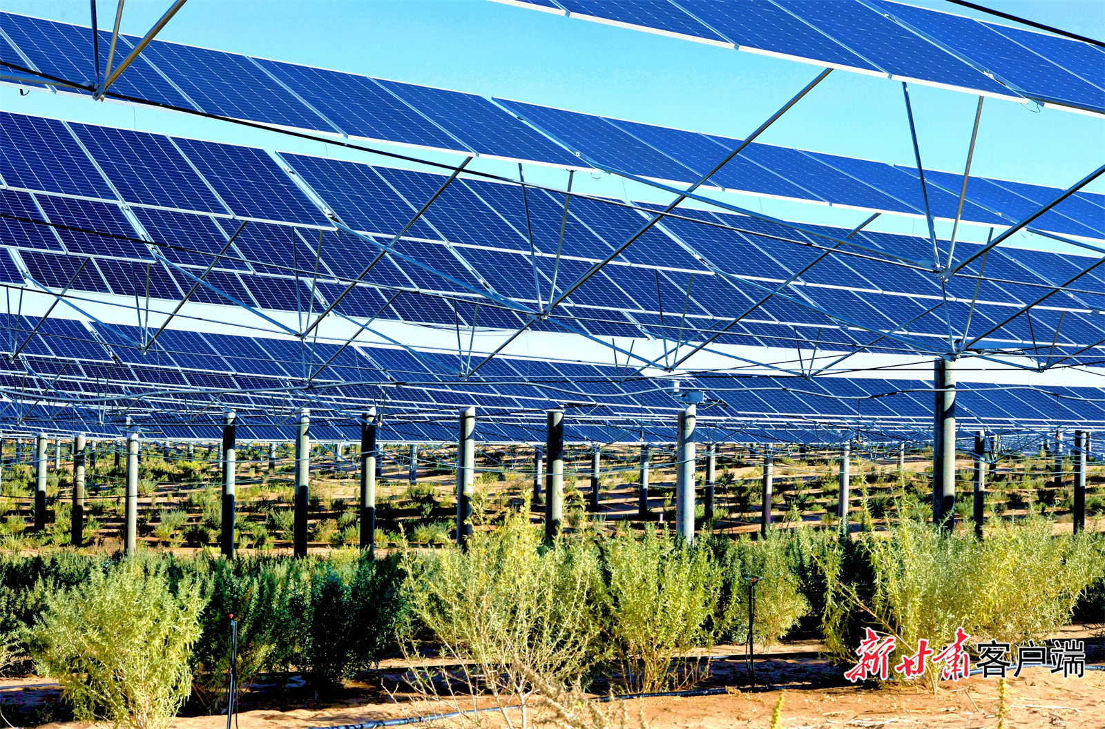 FZ007246232911_A5522556