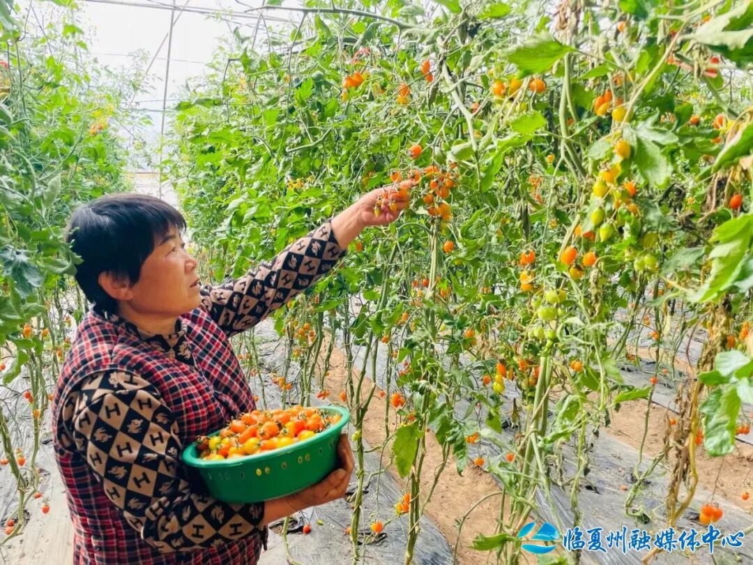 1767606927480028137.jpeg 1767509170566027846.jpeg